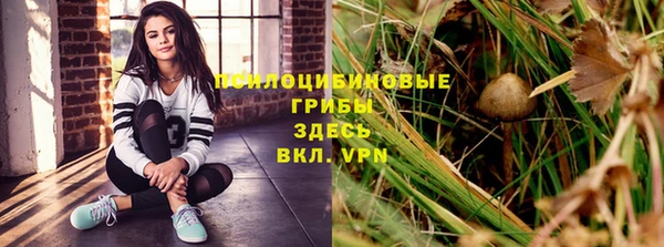 гашик Баксан