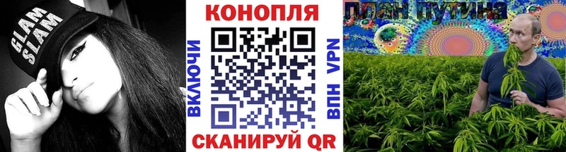 Канабис конопля  Купить закладки  Жердевка 